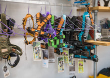 Laden Sie das Bild in den Galerie-Viewer, Kostenloser Beratungstermin Hundezubehör