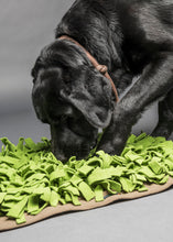 Laden Sie das Bild in den Galerie-Viewer, Kostenloser Beratungstermin Hundezubehör