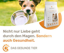 Laden Sie das Bild in den Galerie-Viewer, Kostenloser Beratungstermin Hundefutter & Leckerlies / Allmersbach im Tal
