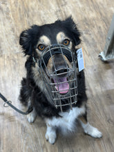 Laden Sie das Bild in den Galerie-Viewer, Kostenlose Maulkorb Beratung und Anpassung / Allmersbach im Tal