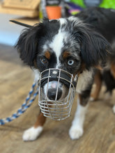 Laden Sie das Bild in den Galerie-Viewer, Kostenlose Maulkorb Beratung und Anpassung / Allmersbach im Tal