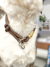 Laden Sie das Bild in den Galerie-Viewer, Kostenloser Beratungstermin Hundezubehör