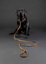 Laden Sie das Bild in den Galerie-Viewer, Kostenloser Beratungstermin Hundezubehör
