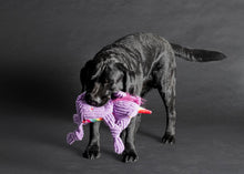 Laden Sie das Bild in den Galerie-Viewer, Kostenloser Beratungstermin Hundezubehör
