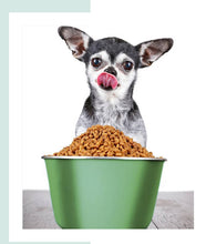 Laden Sie das Bild in den Galerie-Viewer, 🐾 Futtermittelanalyse – ehrlich, neutral &amp; individuell bewertet
